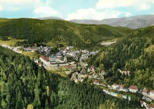 Germany St Blasien Hochschwarzwald panoramic view