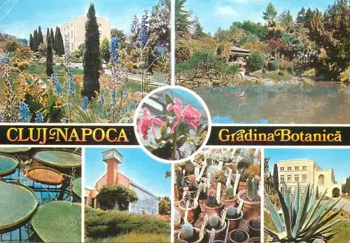 Romania Cluj-Napoca gradina botanica