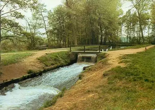 Netherlands Bergeyk 't Schut