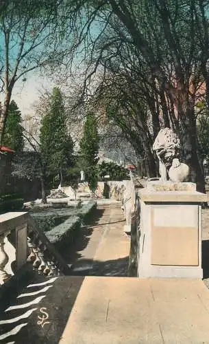 France Alès