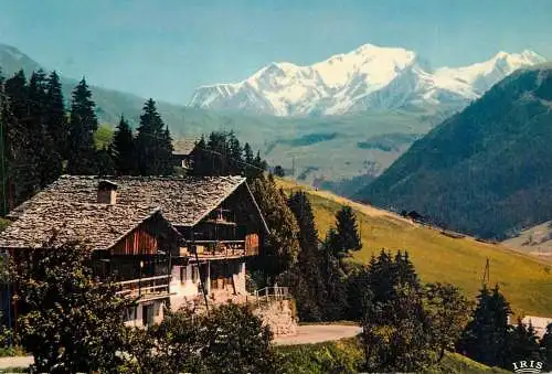 France Mont-Blanc