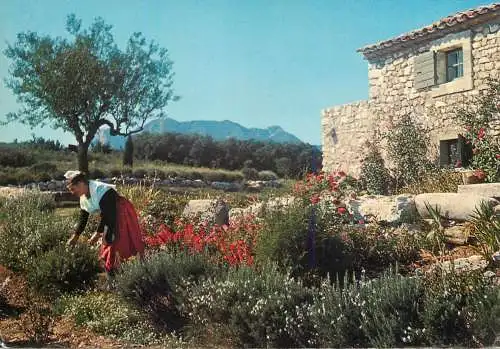 France Provencale au Mas