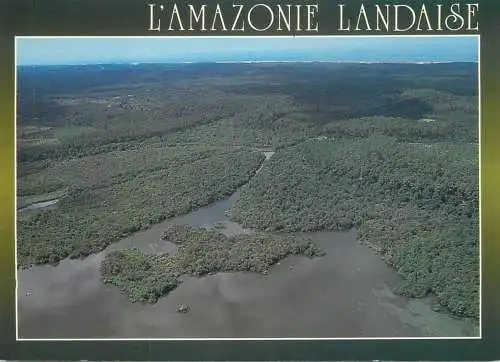 France Landes aerial