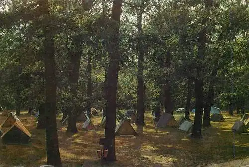 Romania Sibiu camping la Dumbrava