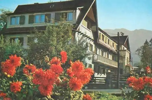 Romania Timisul de Jos cabana Dambul Morii