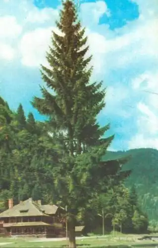 Romania Masiv Iezer Papusa Cabana Voina