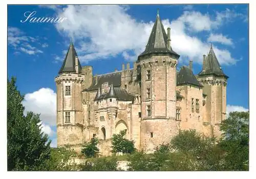 France Saumur castle