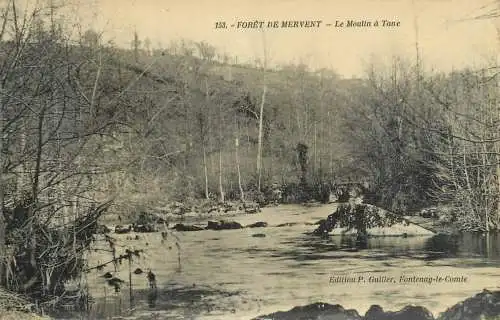 France Foret de Mervent