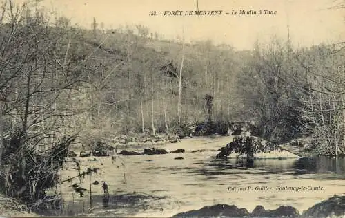 France Foret de Mervent
