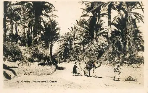 Tunisia Gabès oasis and camel bedoui caravan
