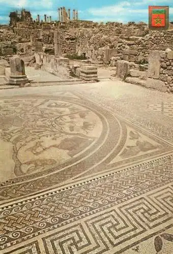 Morocco Volubilis Mosaic of the Orpheus' House