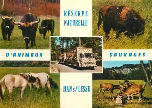 Belgium Han sur Lesse Reserve naturelle d'animaux sauvages multi view