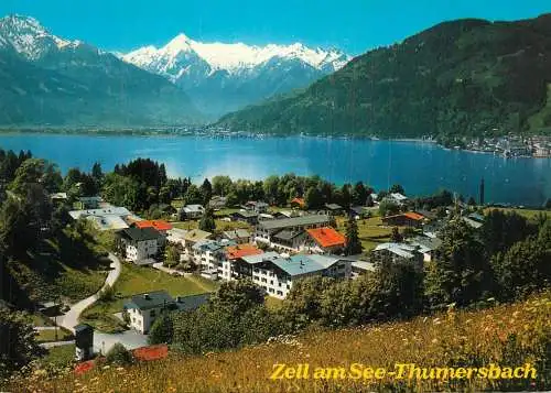 Austria Zell am See Tummersbach