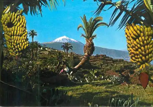 Spain Tenerife panorama del Teide