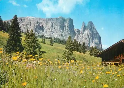 Italy Dolomiti Alpe di Siusi e Punta Santner