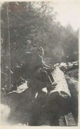 Romania Brebu 1939