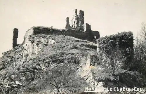 France Aust le chateau