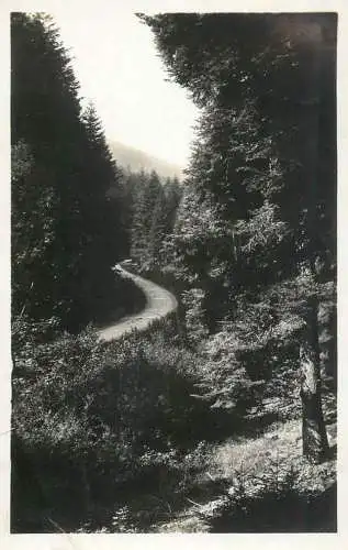 France Vallee du Baerenbach