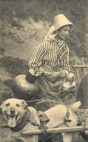 France reedition de carte postale ancienne woman and dogs flamand