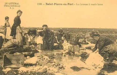 France reedition de carte postale ancienne Saint Pierre en port