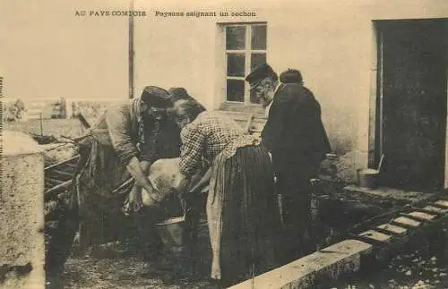 France reedition de carte postale ancienne paysans saignant un cochon
