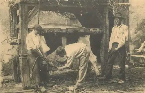 France reedition de carte postale ancienne changing horseshoes