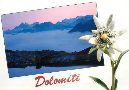 Italy Dolomiti Passo Valparola panorama souvenir