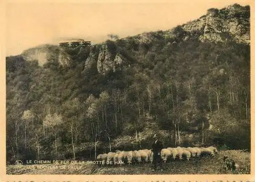 Le Chemin de Fer de la Grotte de Han Rochers de Faule & troupeau de moutons avec berger