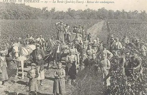 France carte d`autrefois les vins de Touraine la Borde