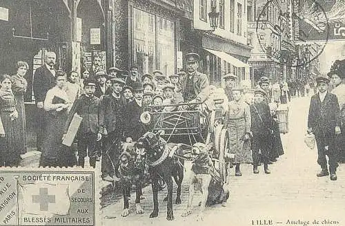 France carte d`autrefois Lille dog chalet