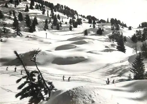 France Chamrousse les pistes des Gaboureaux