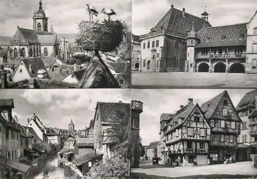 France Colmar Nid de Cigognes