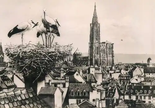 France Strasbourg