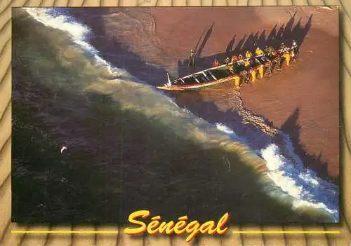 Senegal les temeraires