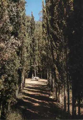 France Les Cypres St. Etienne du Gres