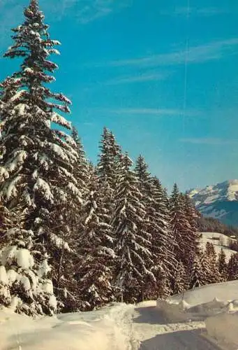 Italy winter scene snow