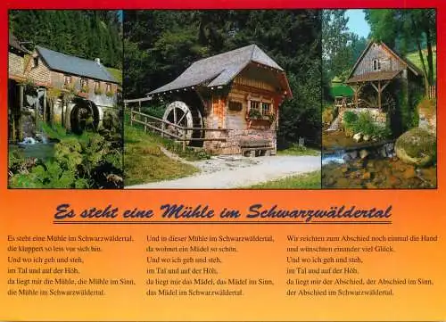 Germany Schwarzwald watermill