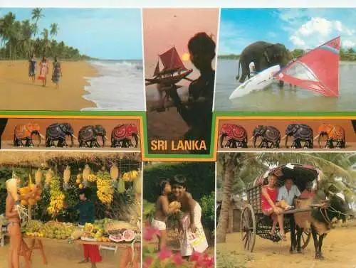 Sri Lanka elephant fruit stand
