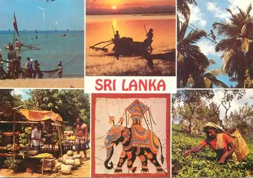 Sri Lanka fishermen tea plucker
