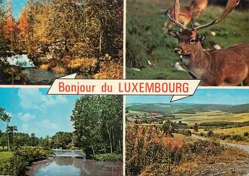 Bonjour du Luxembourg several picturesque landscapes and stag