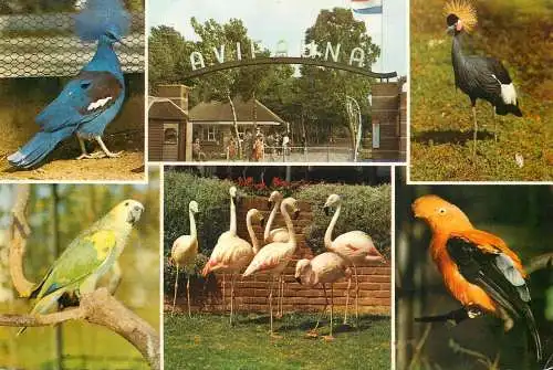 Netherlands Alphen aan den Rijn Avifauna birdpark multi view
