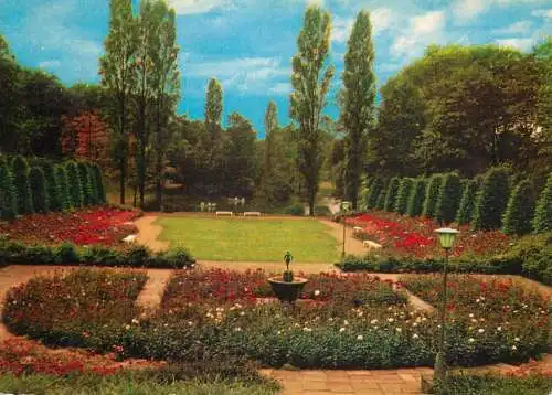 Germany Bochum rose garden