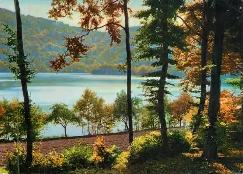Germany Das Gemunder Maar bei Daun/Eifel