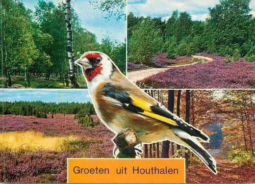 Belgium Groeten uit Houthalen different views