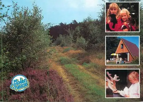 Belgium Houthalen-Helchteren Park Molenheide multi view