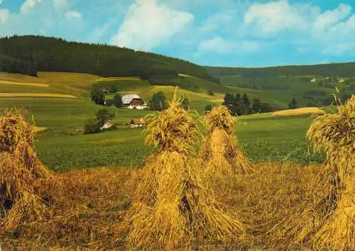 Germany village scene