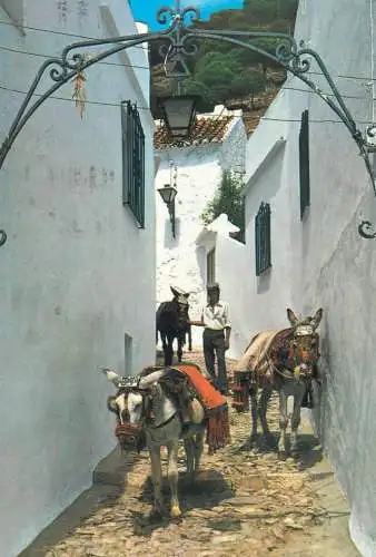 Spain Mijas (Malaga) Costa del Sol escena tipica hombre con burros