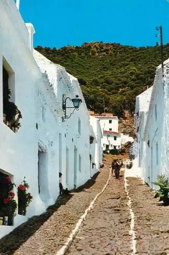 Spain Mijas (Malaga) Costa del Sol calle tipica burro