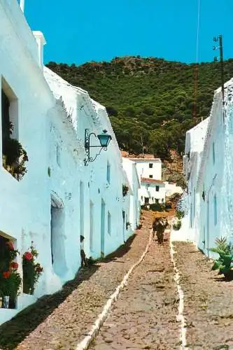Spain Mijas (Malaga) Costa del Sol picturesque street
