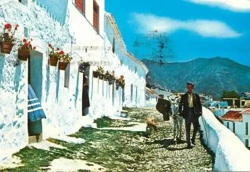 Spain Mijas (Malaga) Costa del Sol calle tipica hombre con burro